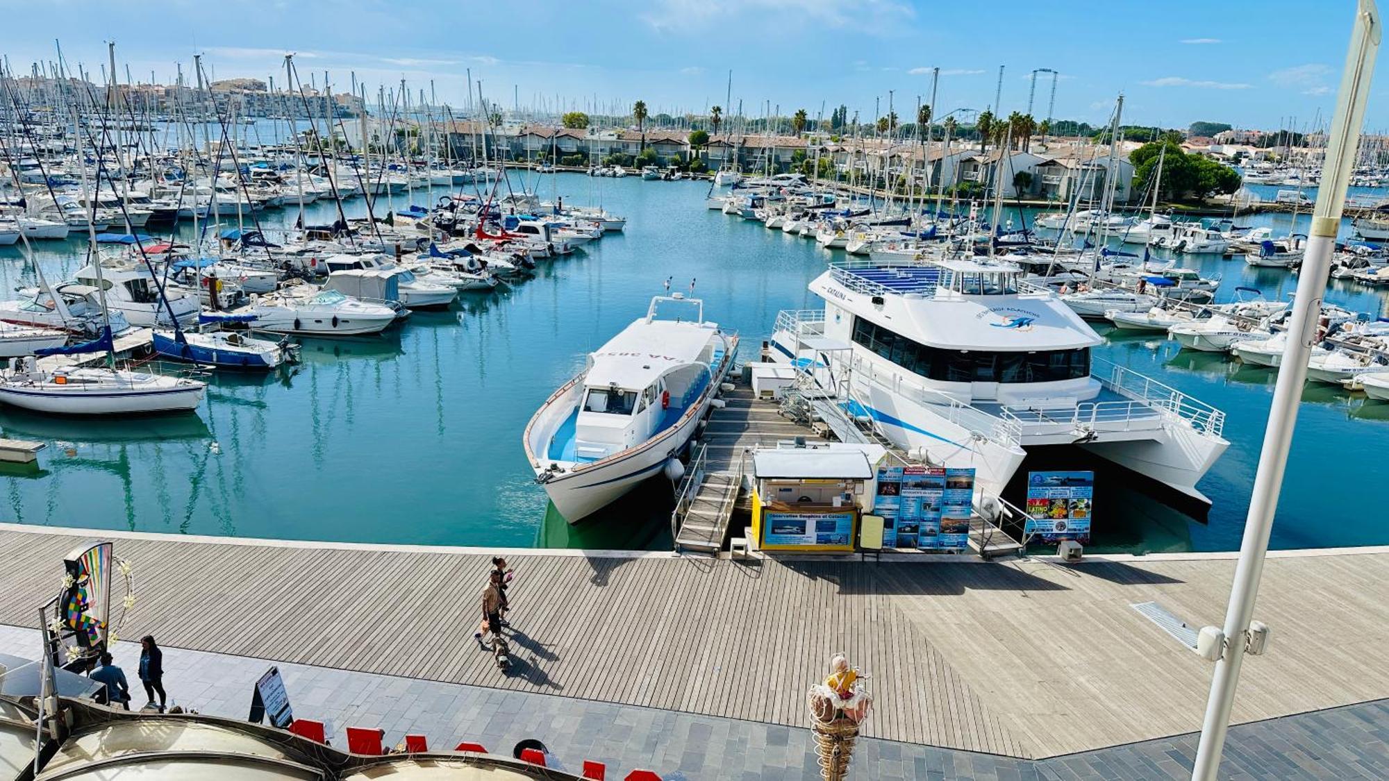 Studio Face Au Port Agde Exterior foto